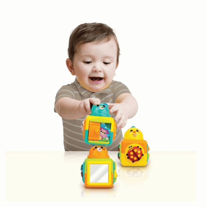 Winfun Stack & Play Animal Cubes