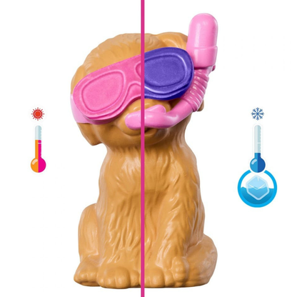 Barbie Puppy Pool Party Set