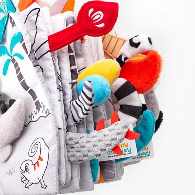 Baby's First Soft Book